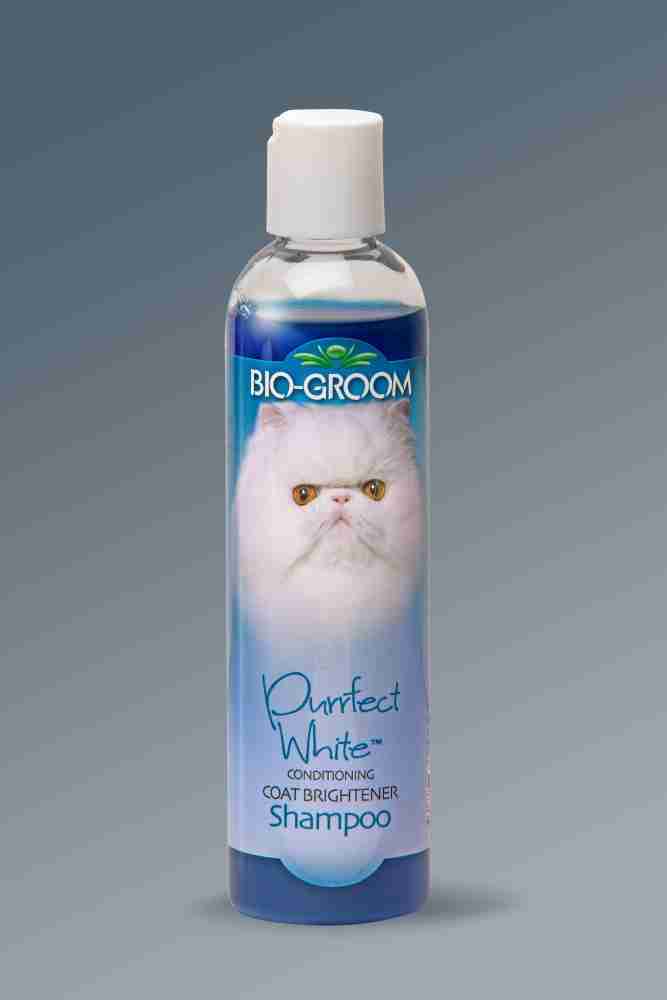 Bio groom 2024 cat shampoo