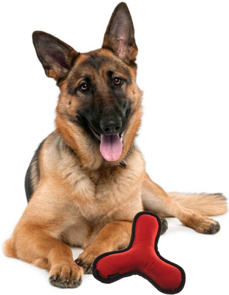 Dog boomerang deals