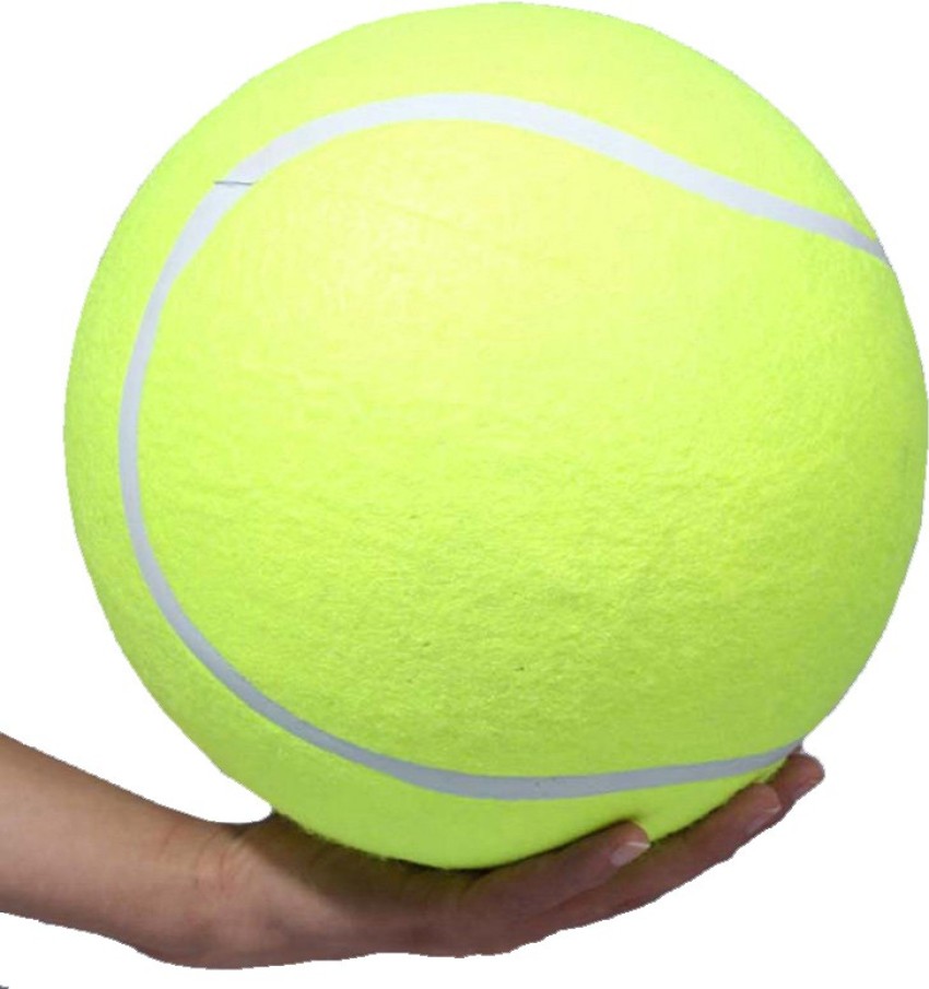 Giant ball deals dog toy