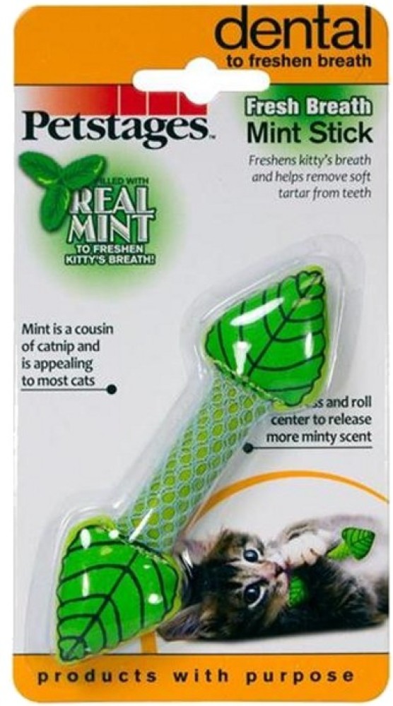 Fresh breath shop mint stick