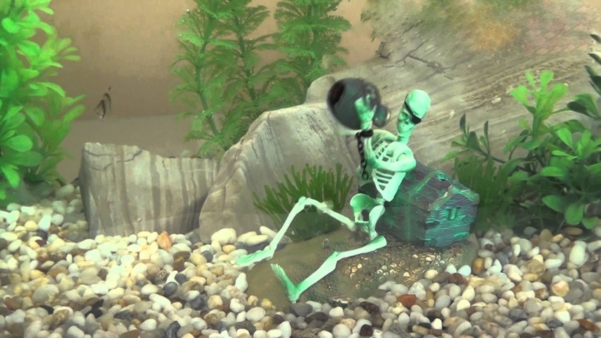 Penn Plax Skeleton Air Action Aquarium Ornament Jewel Box Collection Real Underwater Movement Plastic Plush Toy For Fish Price in India Buy Penn Plax Skeleton Air Action Aquarium Ornament Jewel Box Co...