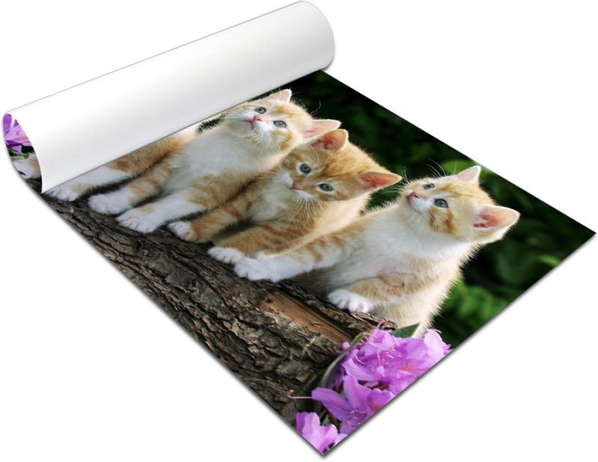 Cute Cat with Big Eyes Paper Print - Animals posters in India