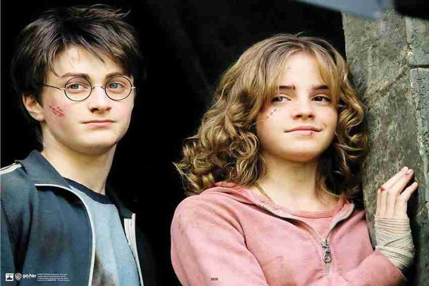 Harry Potter E Hermione Granger