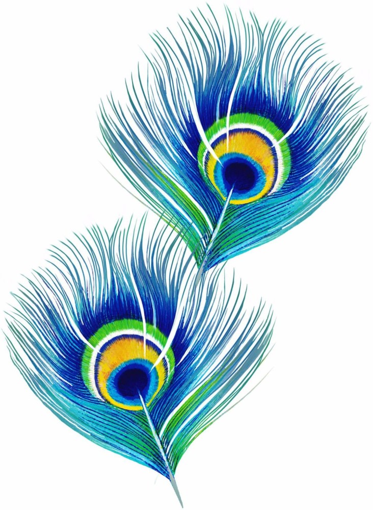 Tallenge - Peacock Feathers - A3 Size Rolled Poster Paper Print