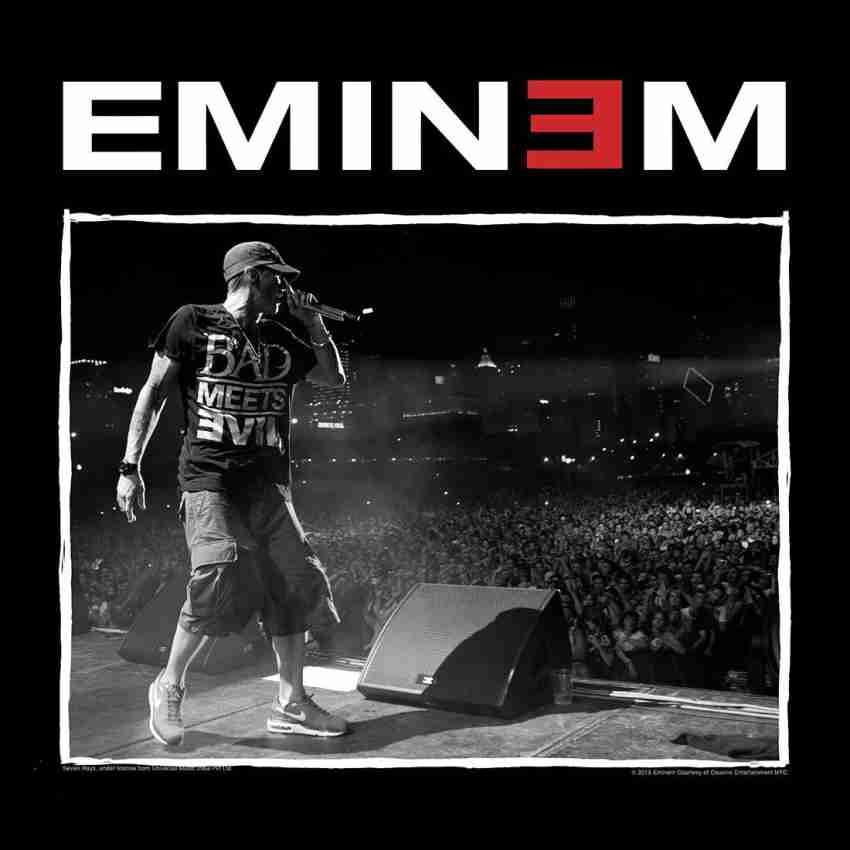 Hip Hop Singer Eminem Posters and Prints Motivational Qoutes