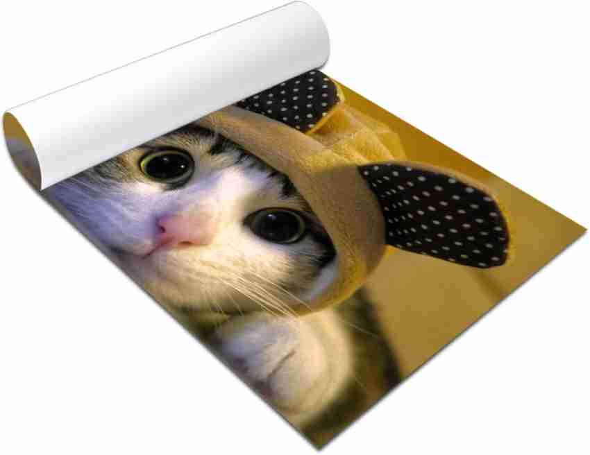 Cute Cat with Big Eyes Paper Print - Animals posters in India