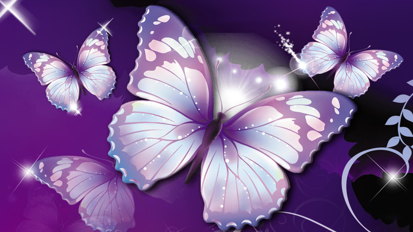 Butterfly hd images top