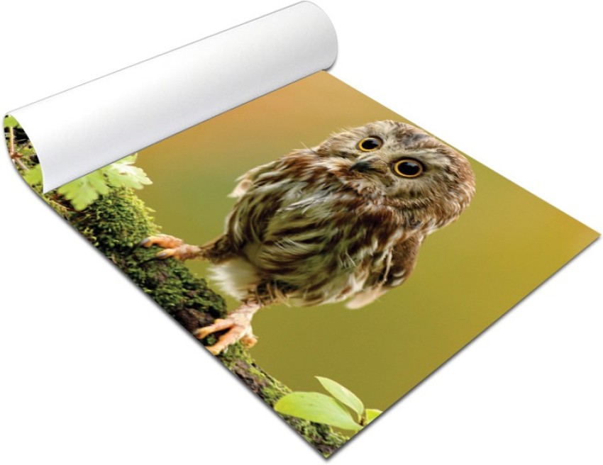 Little Owl Poster Painting sale canvas 16*24 inch