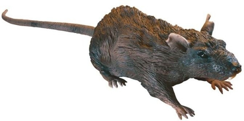 Realistic remote deals control rat
