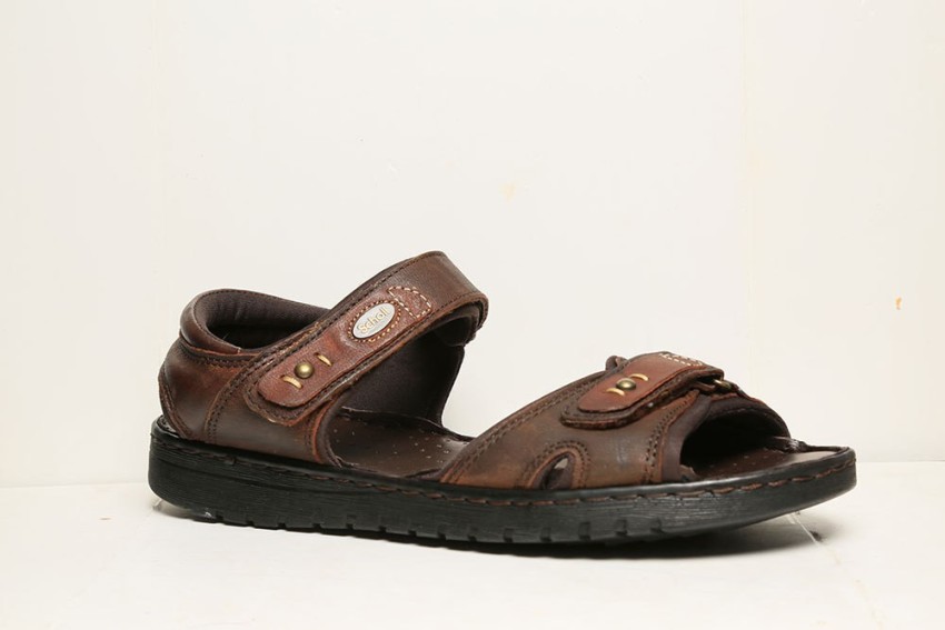 Dr. Scholls SUNG SANDAL Men Brown Sports Sandals Buy Brown Color