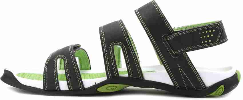 Puma aripon 3 dp 2025
