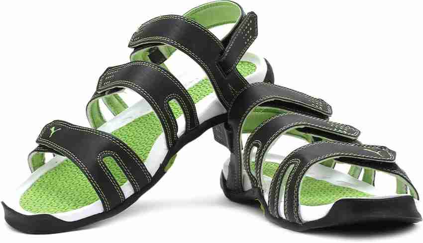 Puma aripon deals