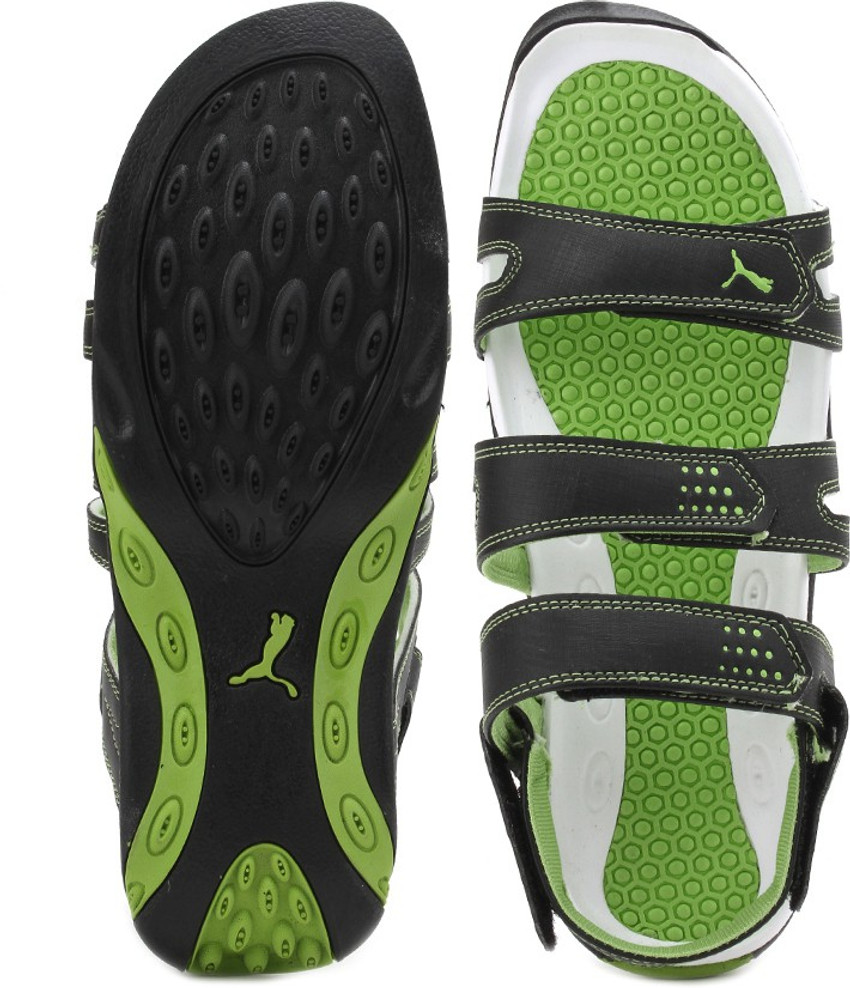 Puma aripon 3 dp top