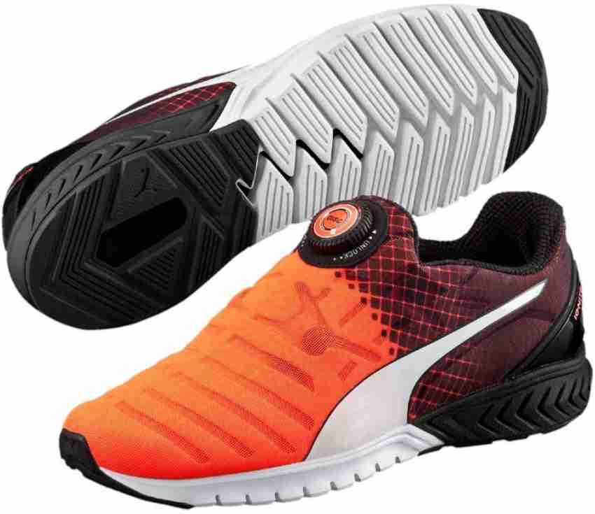 Puma ignite 2025 dual disc