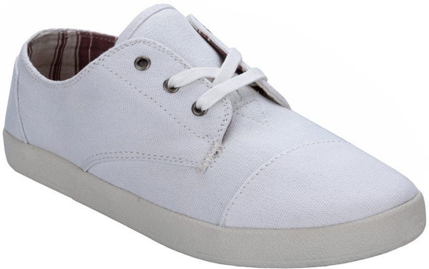 Top more than 151 toms walking shoes best kenmei.edu.vn