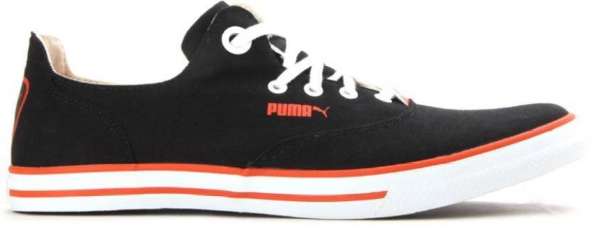 Puma limnos 2024