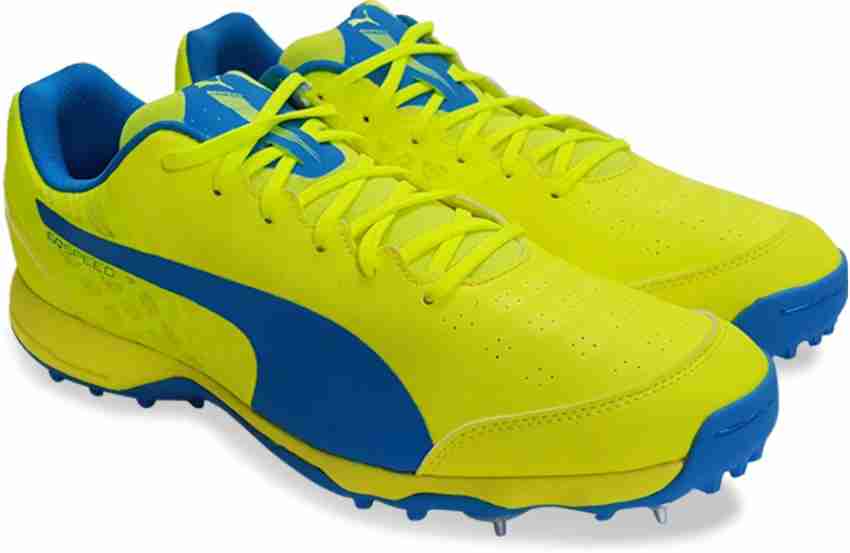 Puma evospeed cricket spikes sale