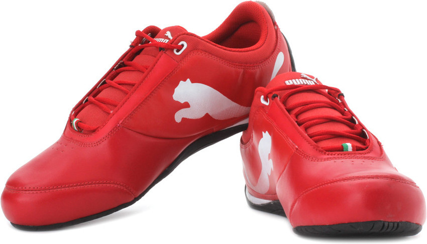 Puma drift sales cat 4 2015