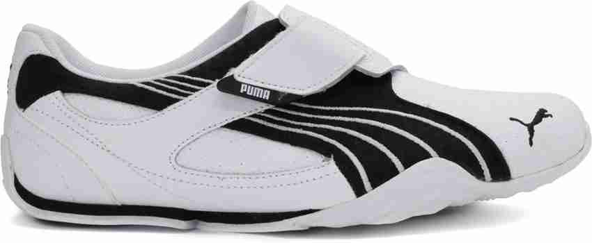 Puma taisoku 2025