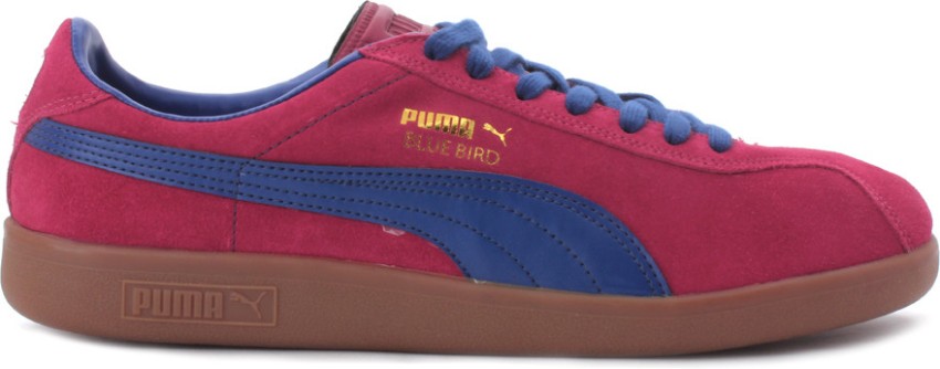 Puma bluebird 2024 limoges spectra yellow