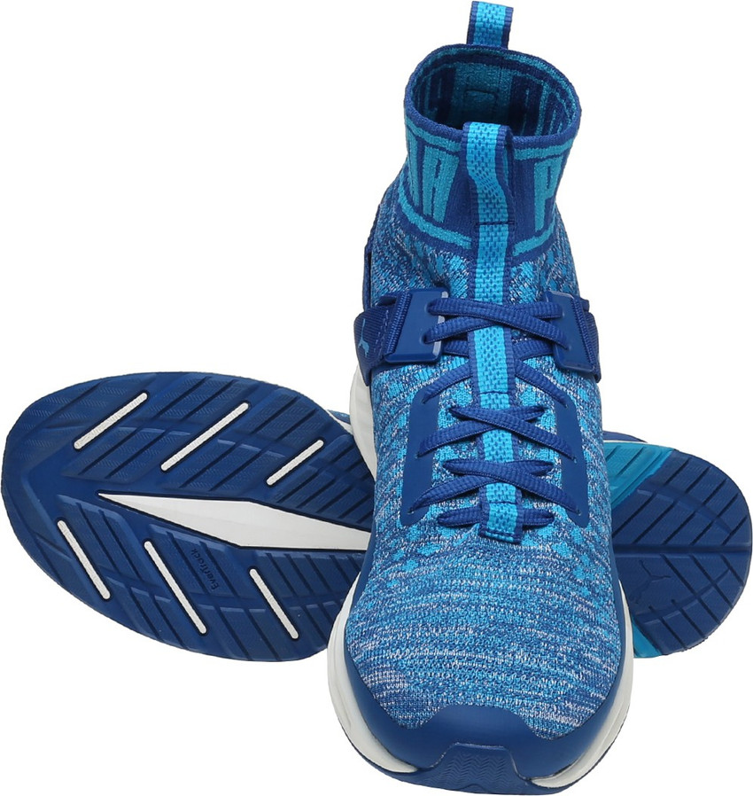 Puma ignite shop evoknit blue