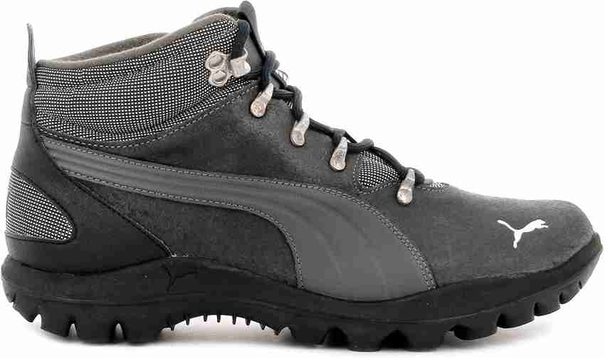 Zapatilla hot sale puma silicis
