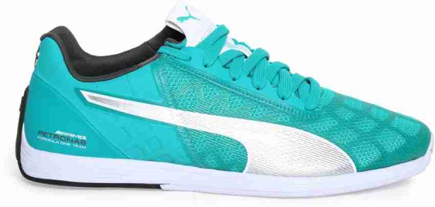 Puma store mercedes evospeed