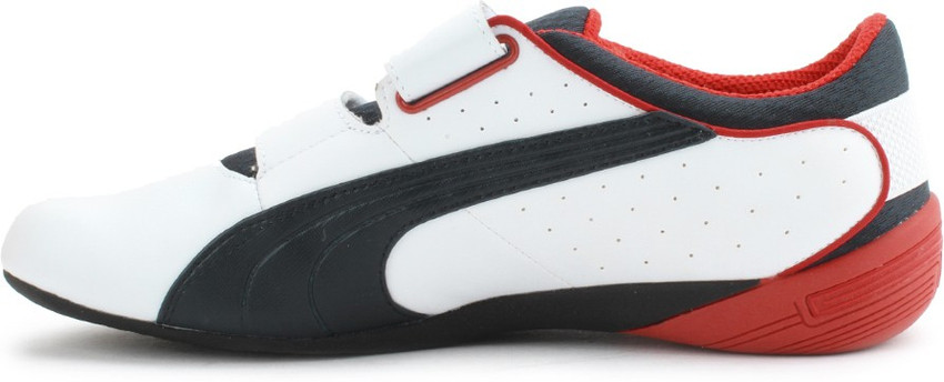 Puma bmw nyter discount