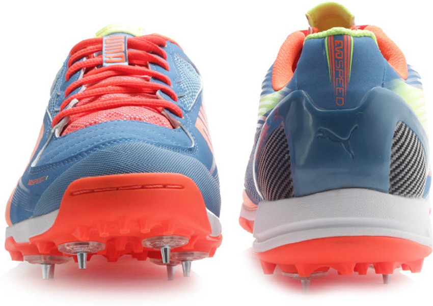 Puma evospeed 2024 1.2 cricket shoes