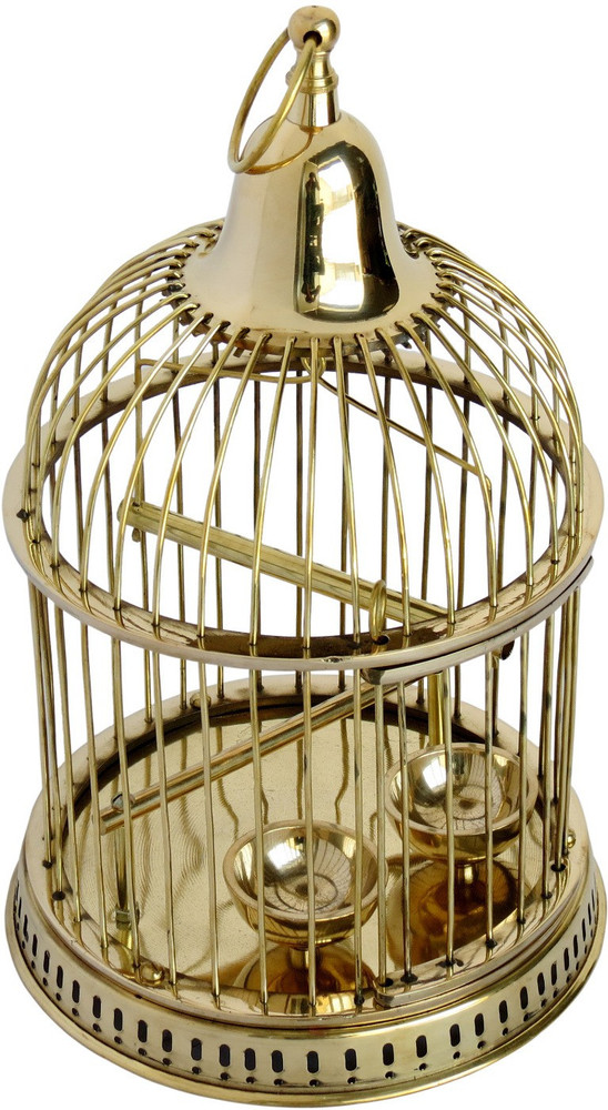 Discover 151+ decorative bird cage online india best seven.edu.vn