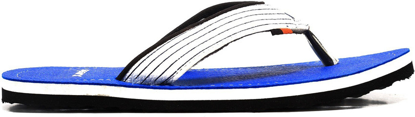 Sparx discount sfg 529