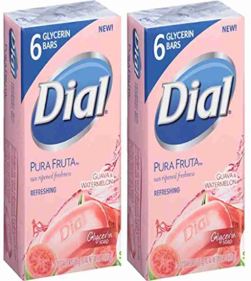 Dial best sale watermelon soap