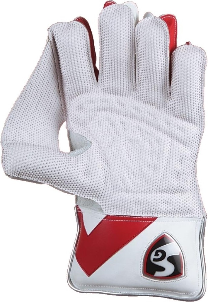 SG Wicket Keeping Gloves - RSD Prolite, Cricket Accessories Best Gift for  Him