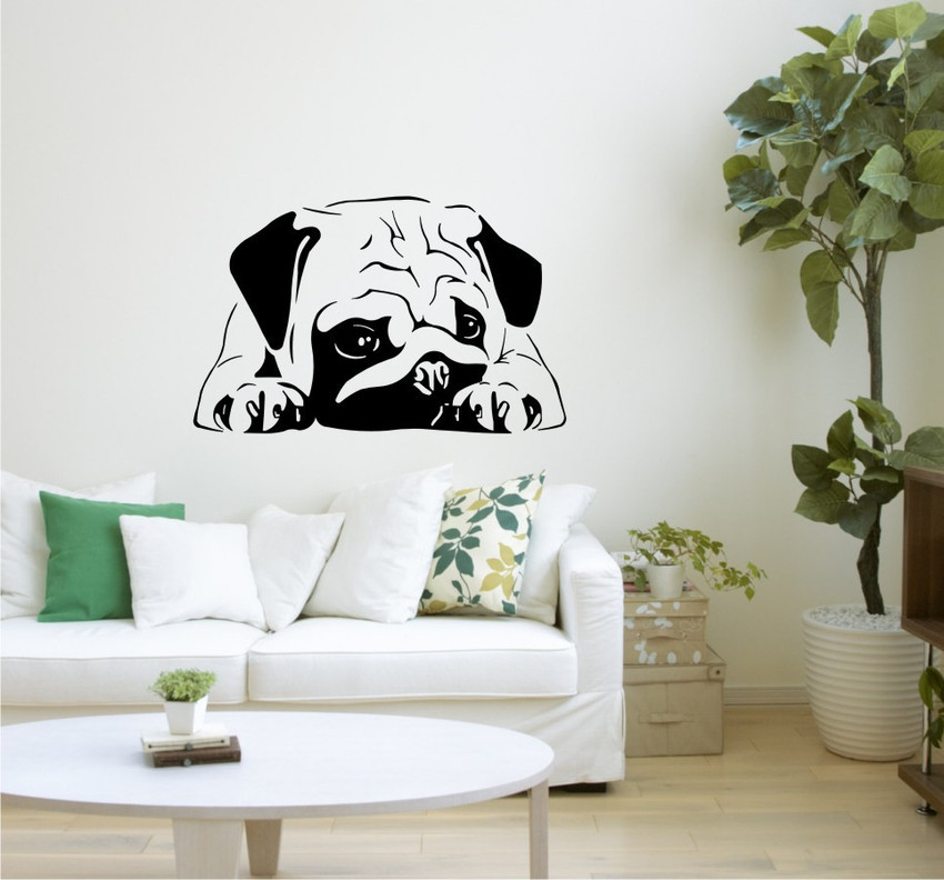 Heaven Decor1 37.59 cm Baby Pug Dog Black Wall Decal And Sticker Size 37 59 Cm Self Adhesive Sticker