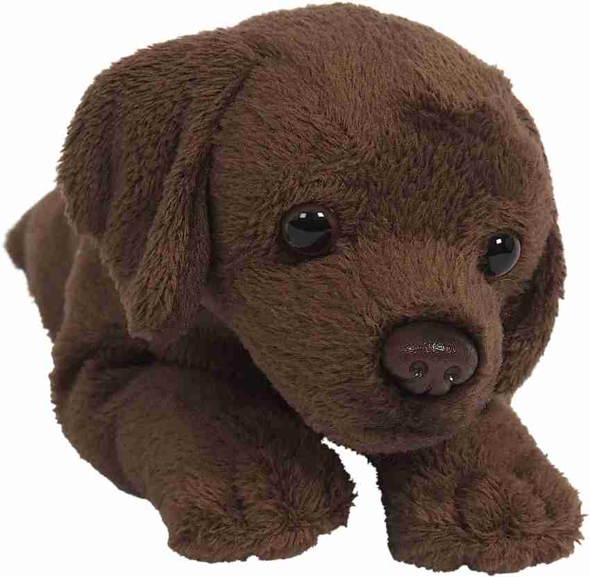 Hamleys soft deals toy dogs