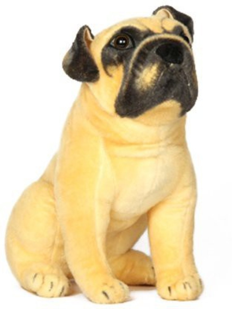 Pug dog clearance ki price