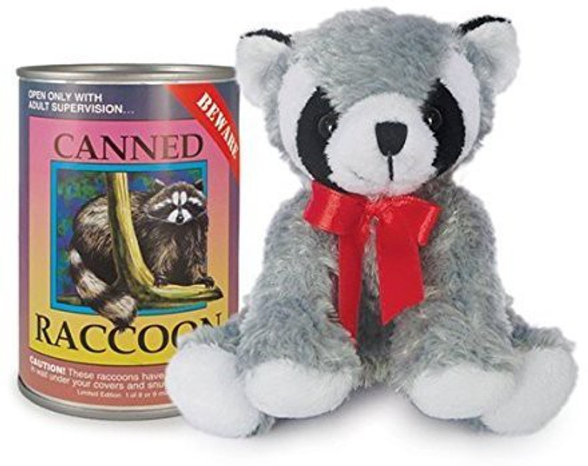 Norther Gifts Canned Critters Stuffed Animal Raccoon 6