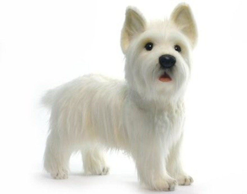Hansa terrier puppy plush clearance