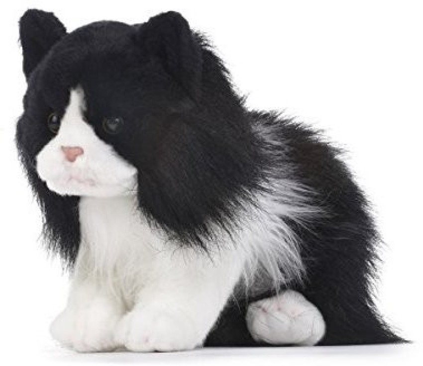 DEMDACO Tuxedo Cat Plush Large Tuxedo Cat Plush Large Buy Cat toys in India. shop for DEMDACO products in India. Flipkart