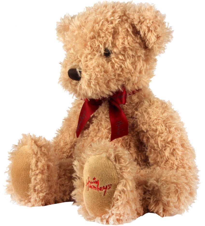 hamleys giant bear