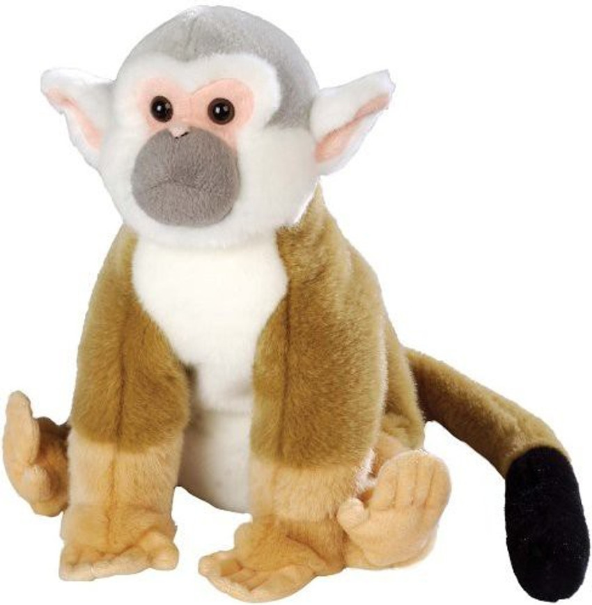 Wild sales republic squirrel