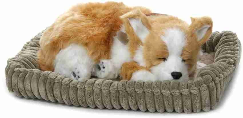 Perfect petzzz corgi store