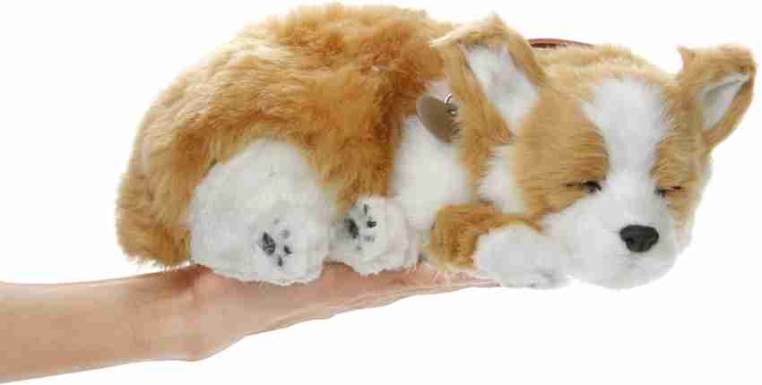 Perfect petzzz corgi online