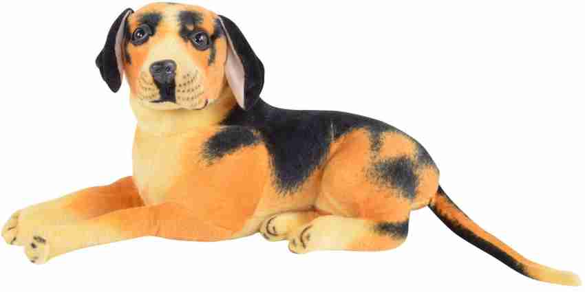 Buy Dog Toys Online From Flipkart  Best Deals on All Products 05