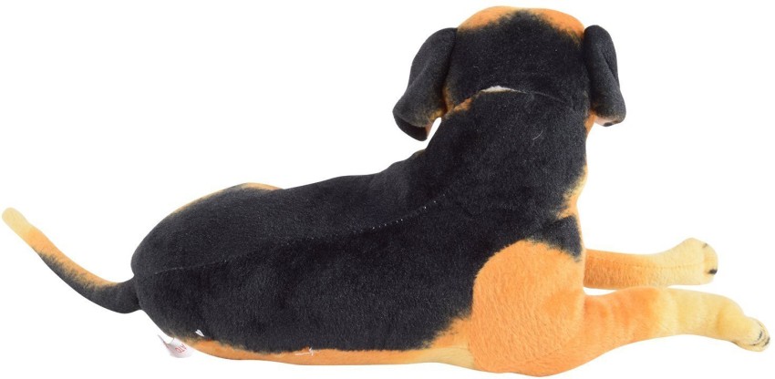 Dog and deals teddy bear