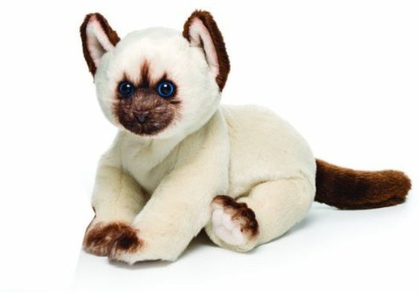 Himalayan cat shop stuffed animal