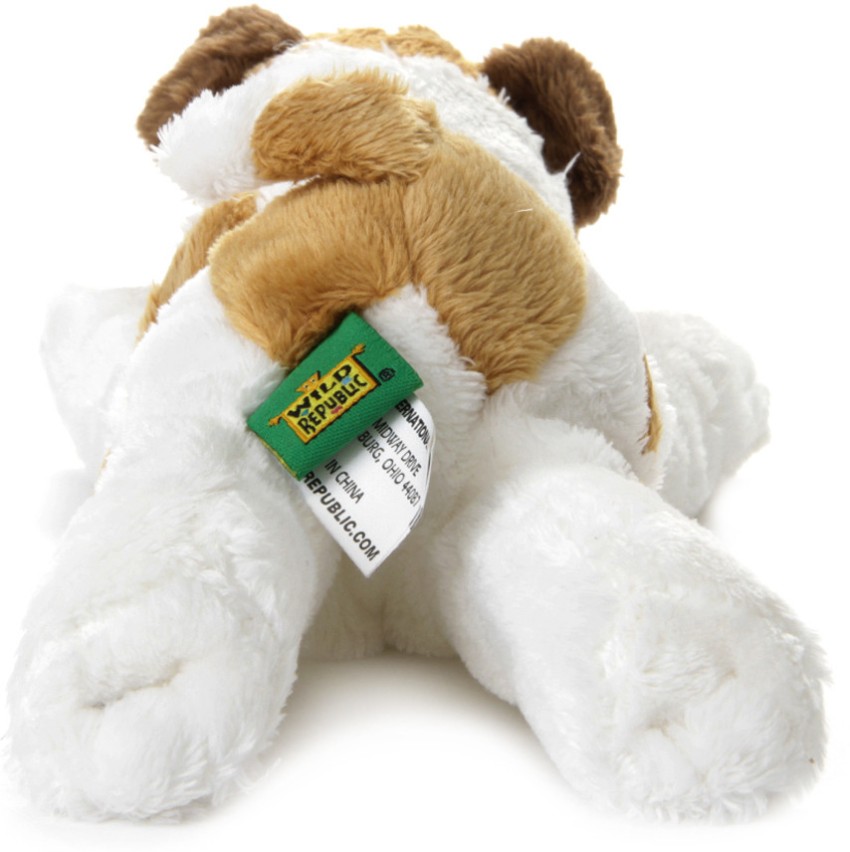 https://rukminim2.flixcart.com/image/850/1000/stuffed-toy/z/v/d/wild-republic-7-dog-floppy-jack-russel-original-imads8qrvzwfkthn.jpeg?q=90