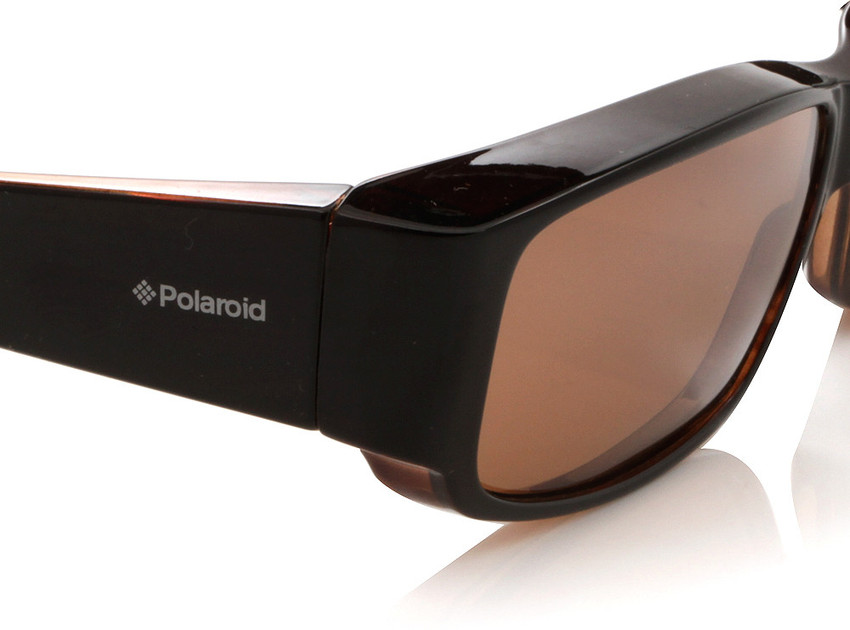 Buy POLAROID Spectacle Sunglasses Brown For Men Women