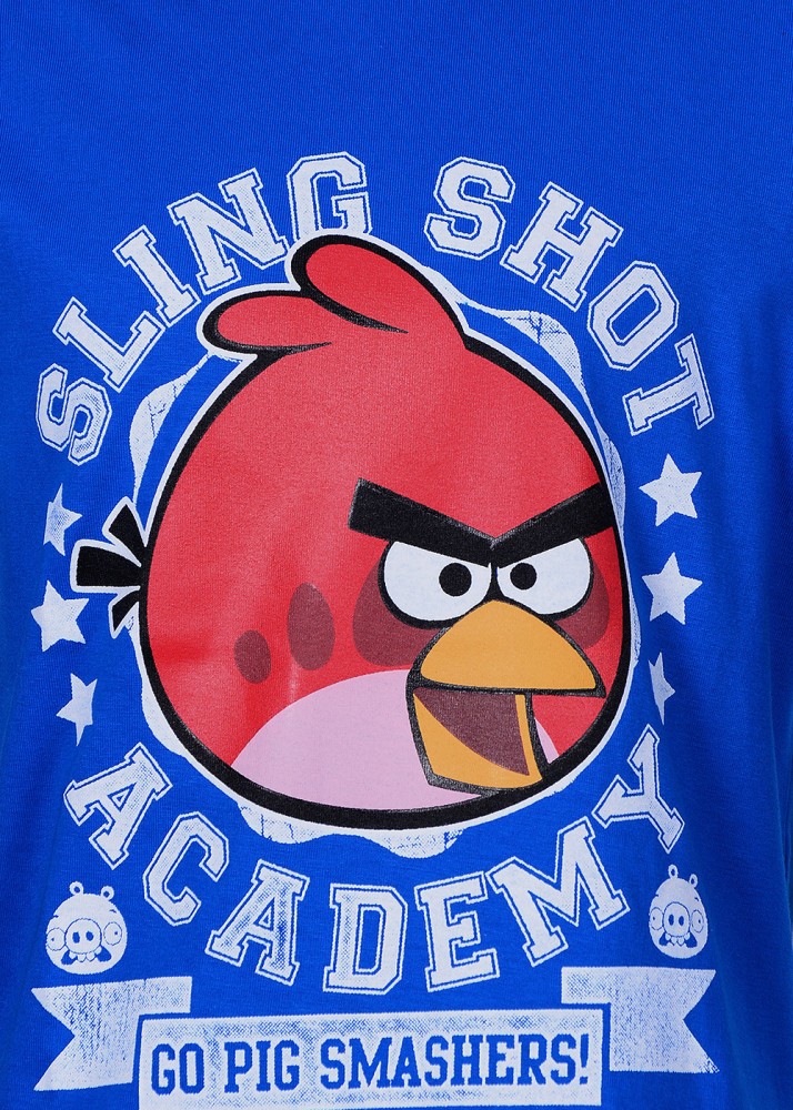 Angry Birds Logo Youth T Shirt