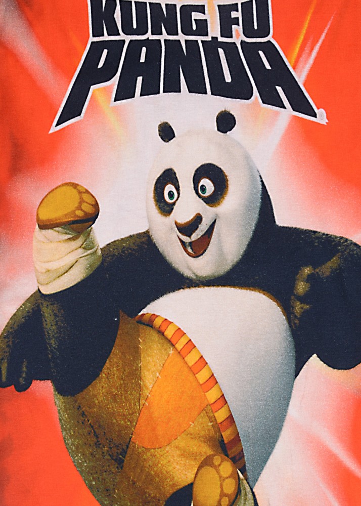 kung fu panda 1 poster